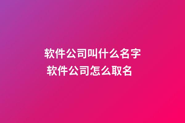 软件公司叫什么名字 软件公司怎么取名-第1张-公司起名-玄机派